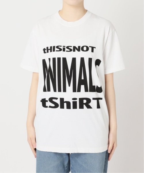 FRAMeWORK(フレームワーク)/STUDIO WEAREALLANIMALS This is now Tシャツ/img17