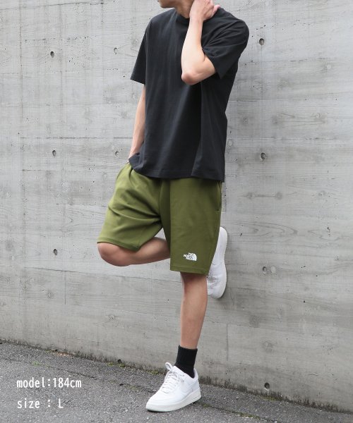 THE NORTH FACE(ザノースフェイス)/【THE NORTH FACE / ザ・ノースフェイス】GRAPHIC SHORT LIGHT ハーフパンツ ショートパンツ 半パン 3S4F/img04