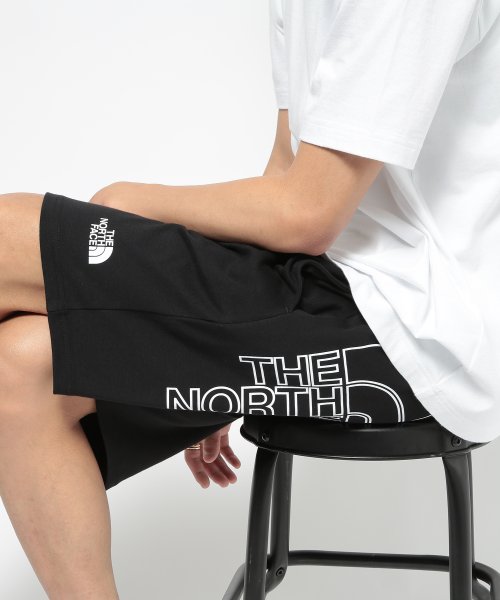 THE NORTH FACE(ザノースフェイス)/【THE NORTH FACE / ザ・ノースフェイス】GRAPHIC SHORT LIGHT ハーフパンツ ショートパンツ 半パン 3S4F/img16