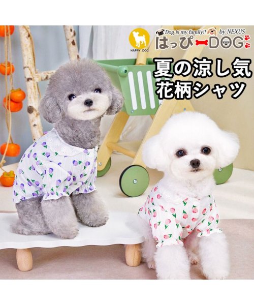 HAPPY DOG!!(はっぴーDOG！！)/犬 服 犬服 いぬ 犬の服 シャツ ブラウス 花柄 レース 袖あり 前ボタン スナップボタン 着せやすい/img01