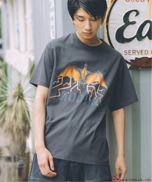 JOURNAL STANDARD(ジャーナルスタンダード)/《予約》CHAMPION / JS GODZILLA 70th PRINT TEE/img16