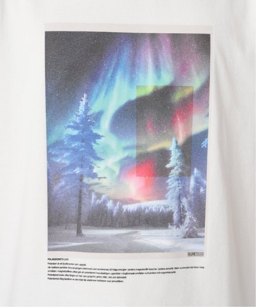 B.C STOCK(ベーセーストック)/《予約》OLIVEDRAB ICE PHOTO Tシャツ/img05