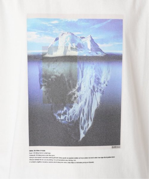B.C STOCK(ベーセーストック)/《予約》OLIVEDRAB ICE PHOTO Tシャツ/img17