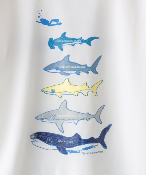 SHIPS KIDS(シップスキッズ)/SHIPS KIDS:100～130cm /〈接触冷感/吸水速乾〉シャーク フリーク TEE/img25