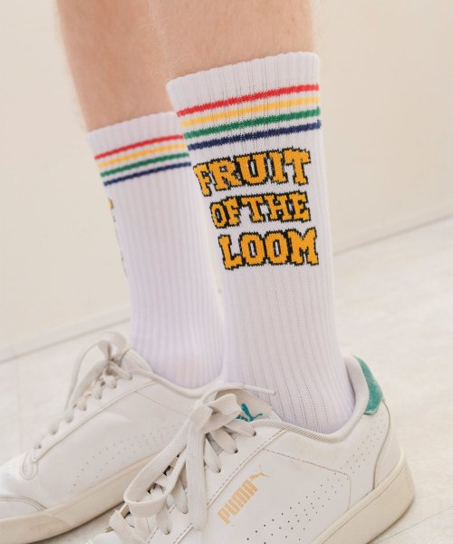 FRUIT OF THE LOOM(フルーツオブザルーム)/C.FRUIT OF THE LOOMレインボーラインロゴ/img02