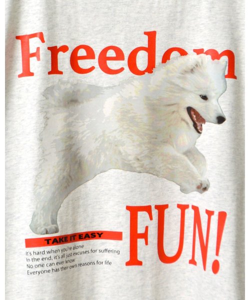 MODISH GAZE(モディッシュ ガゼ)/FREEDOM FUN シートプリントTシャツ/img33