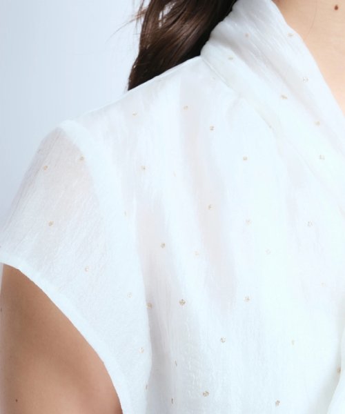 プチラメドット半袖ブラウス 予めご了承ください
