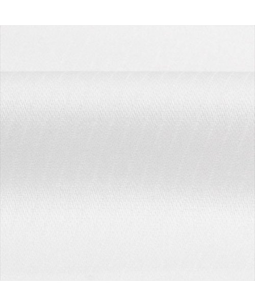 TOKYO SHIRTS(TOKYO SHIRTS)/【超形態安定・大きいサイズ】 ボタンダウン 半袖 形態安定 ワイシャツ/img05
