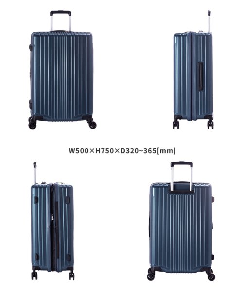 ASIA LUGGAGE(アジアラゲージ)/アジアラゲージ スーツケース LLサイズ 100L/114L 大型 大容量 軽量 拡張機能 無料受託手荷物 ASIA LUGGAGE 6000シリーズ 6000/img03