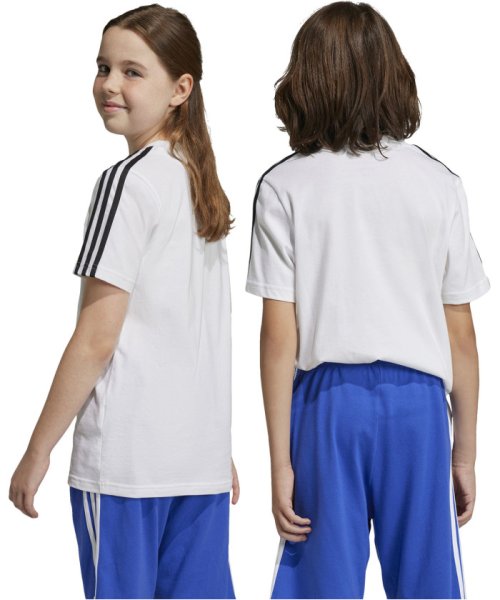 adidas(adidas)/adidas アディダス エッセンシャルズ スリーストライプス コットン半袖Tシャツ ECN59/img27