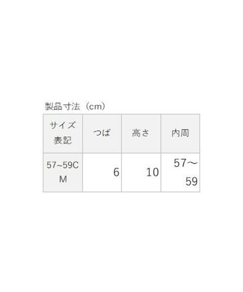 sanideiz TOKYO(サニデイズ トウキョウ)/コットンツイル ロゴロゴバケットハット/img08