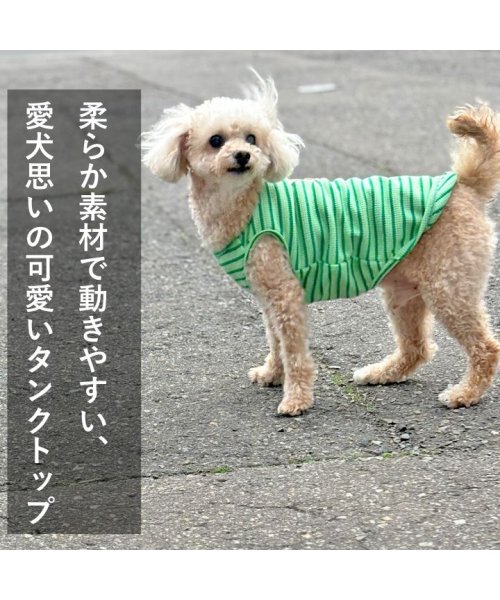HAPPY DOG!!(はっぴーDOG！！)/犬 服 犬服 いぬ 犬の服 着せやすい タンクトップ ボーダー ノースリーブ 袖なし Dカン/img02