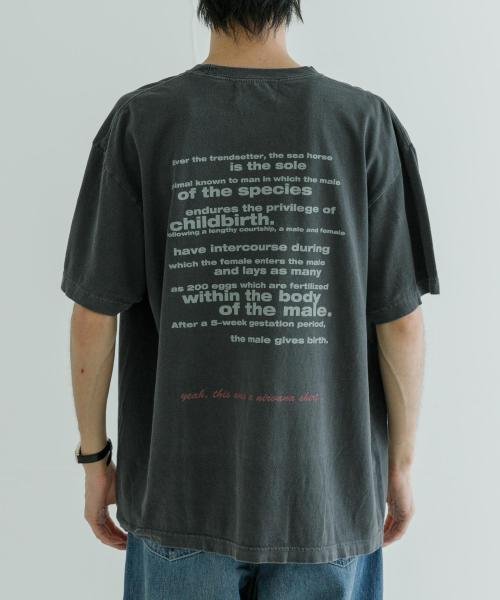 URBAN RESEARCH(アーバンリサーチ)/URBAN RESEARCH iD　NIRVANA SHORT－SLEEVE T－SHIRTS/img04