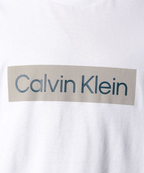 Calvin Klein(カルバンクライン)/【Calvin Klein / カルバンクライン】フロントロゴ プリント Tシャツ 半袖 クルーネック プリントT コットン100% 40QM853/img13