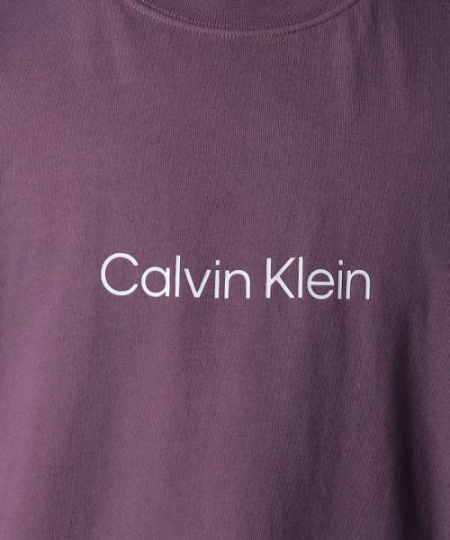 Calvin Klein(カルバンクライン)/【Calvin Klein / カルバンクライン】フロントロゴ プリント Tシャツ 半袖 40LM213/img04