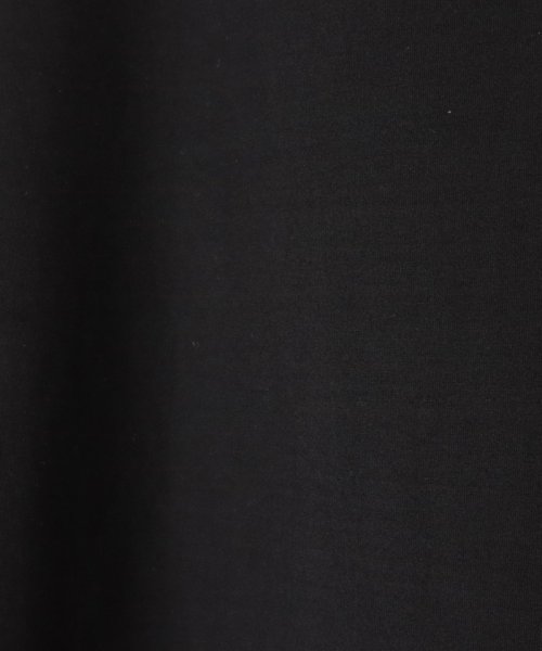 VICKY(ビッキー)/【着映えワンピ】ドッキングチュールティアードワンピース≪洗濯機で洗える≫/img07