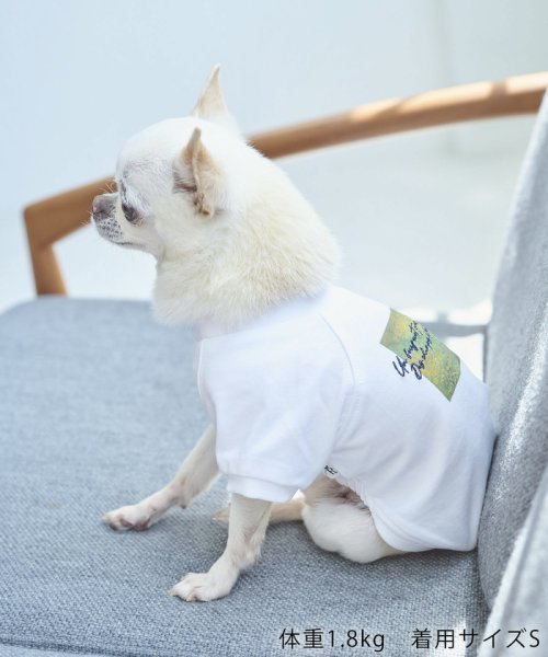 ROPE PICNIC PASSAGE(ロペピクニック パサージュ)/【DOG】RENU/PHOTO＆LOGOTシャツ/リンクコーデ/img01