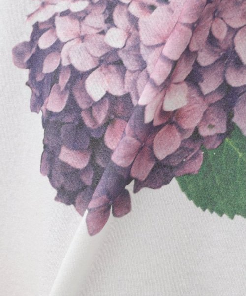 B.C STOCK(ベーセーストック)/FLOWER ANCIENT Tシャツ/img16