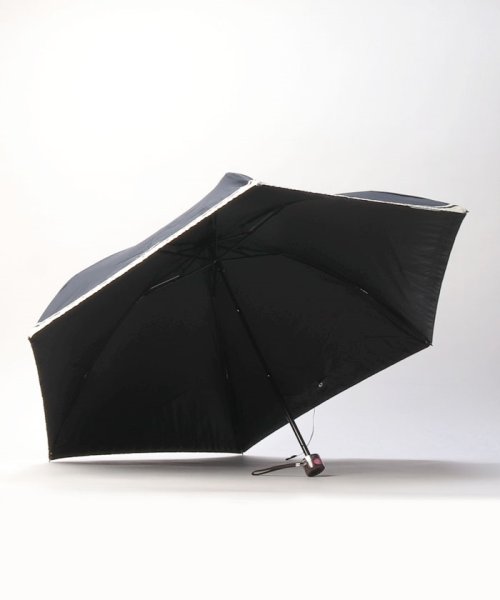 Aquascutum(アクアスキュータム)/Aquascutum （アクアスキュータム） 大きめサイズのシンプルWボーダー晴雨兼用傘（折りたたみ・ミニ傘）/img01