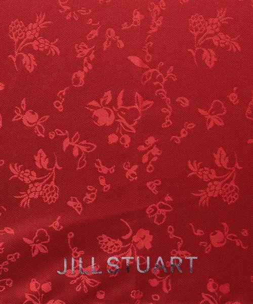 JILL STUART(ジル スチュアート)/JILL STUART（ジル　スチュアート） アンティーク小花&フルーツジャカード雨傘(長傘)/img04