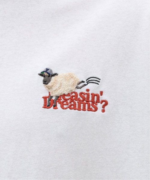 B.C STOCK(ベーセーストック)/DREAMING MERRY/Tシャツ/img11