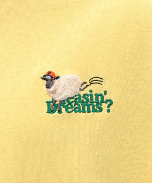 B.C STOCK(ベーセーストック)/DREAMING MERRY/Tシャツ/img13