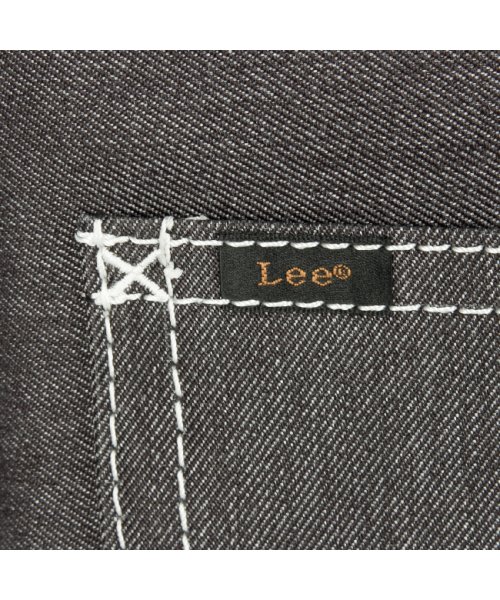 Lee リー スーツケース 機内持ち込み Sサイズ SS 35L/41L フロントオープン 拡張 320－9030 ソフト キャリーケース キャリーバッグ ｜約