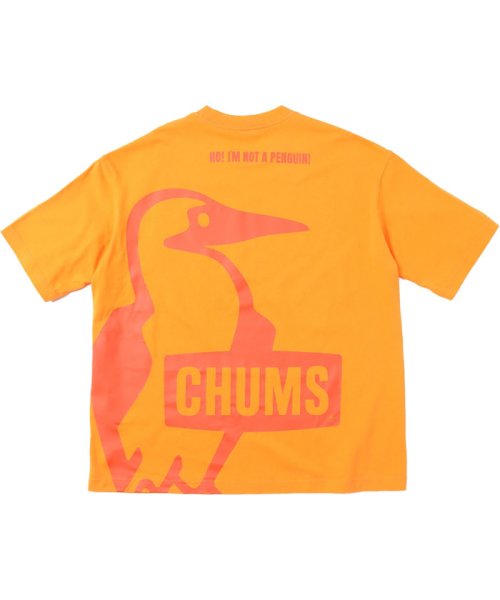 CHUMS(チャムス)/チャムス　CHUMS アウトドア オーバーサイズドブービーTシャツ Oversized Booby T－Sh/img01
