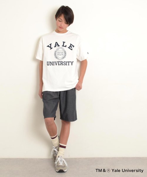 GLAZOS(グラソス)/【YALE】コットン・半袖カレッジプリントTシャツ/img03