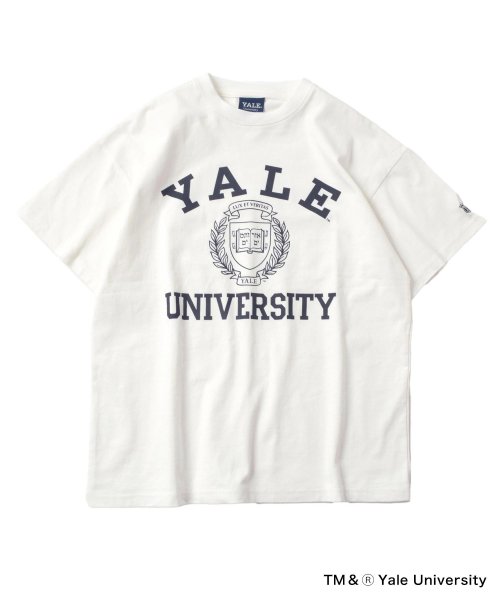 GLAZOS(グラソス)/【YALE】コットン・半袖カレッジプリントTシャツ/img12