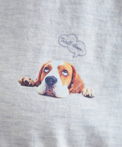 NICE CLAUP OUTLET(ナイスクラップ　アウトレット)/犬集合Tシャツ/img06