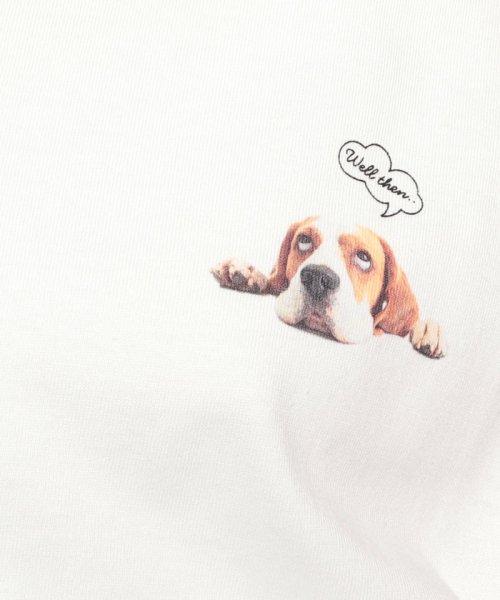 NICE CLAUP OUTLET(ナイスクラップ　アウトレット)/犬集合Tシャツ/img28
