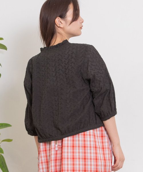 フリル衿クロップドブラウス 人気・おすすめ｜安定人気・収納便利におすすめ 期間限定割引 配送追跡可 国内発送・メーカー保証対応