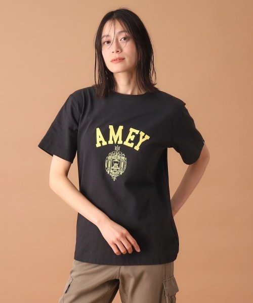 DRESSTERIOR(ドレステリア)/Americana（アメリカーナ）ロゴカレッジTシャツ/img21