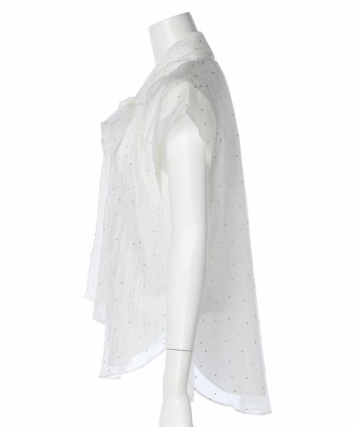 プチラメドット半袖ブラウス 予めご了承ください