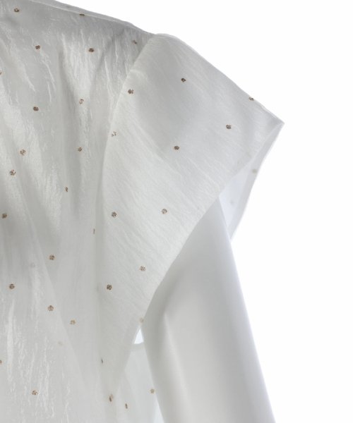 プチラメドット半袖ブラウス 予めご了承ください