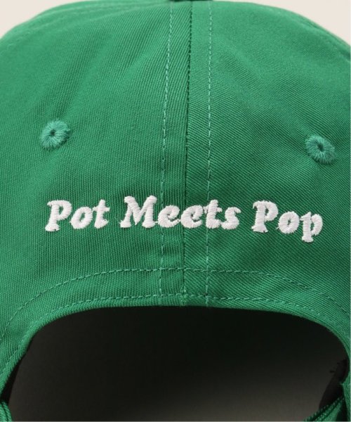 JOINT WORKS(ジョイントワークス)/PMP EVERYBODY MUST GET STONED DAD CAP　2308－ U125/img09