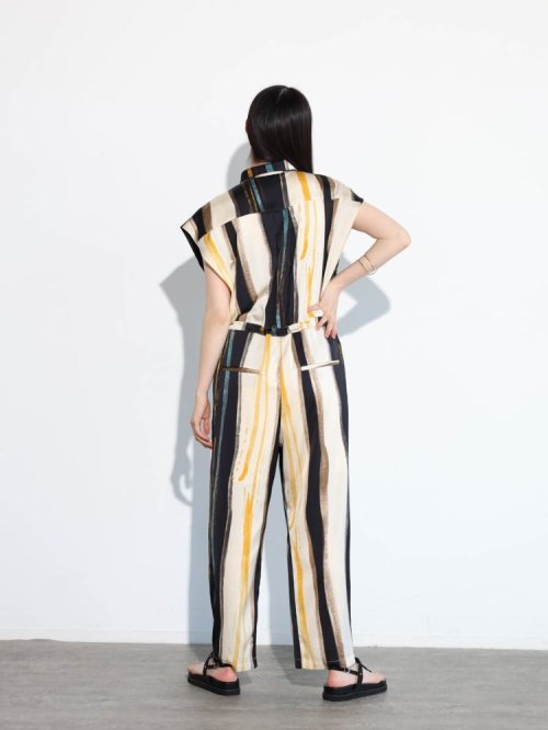 ペイントタッチオールインワン 