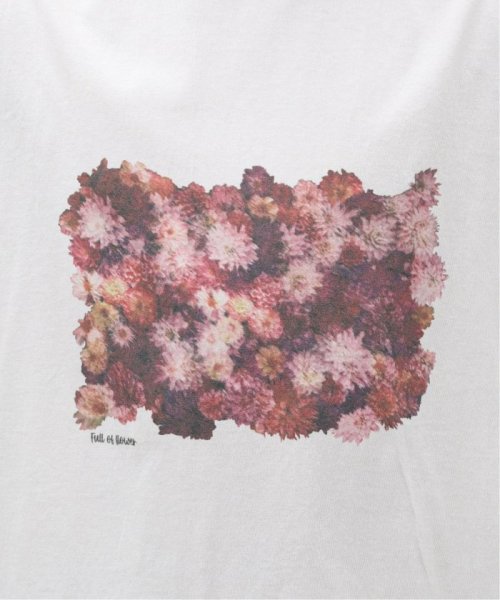B.C STOCK(ベーセーストック)/FLOWER ANCIENT Tシャツ/img31