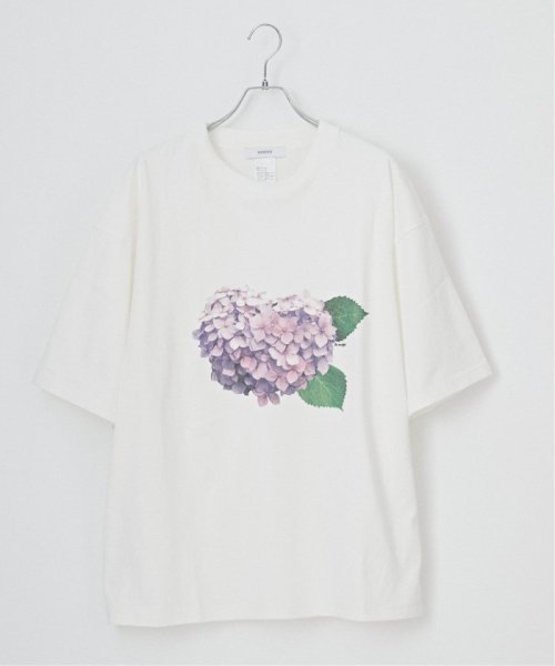 B.C STOCK(ベーセーストック)/FLOWER ANCIENT Tシャツ/img41