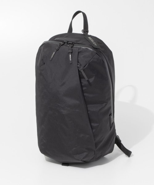 ウェクスレイ WEXLEY STEM HD | EVERYDAY PACK STBP230 メンズ レディース バッグ バックパック X－PAC SERIES メンズ VX21 また
