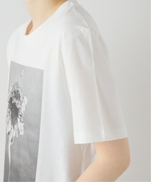 IENA(イエナ)/LISA KING/リサキング BLOEMEN SEIZON Tシャツ LK166－T/img15