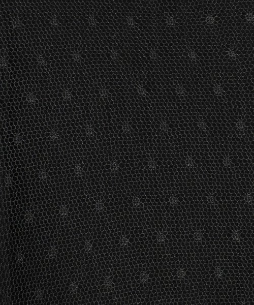 チュールエンブロイダリー クロップドブラウス 