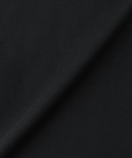 BLACK LABEL CRESTBRIDGE(BLACK LABEL CRESTBRIDGE)/【WEB限定】ヘビーウェイトキャリーポケットTシャツ/img15