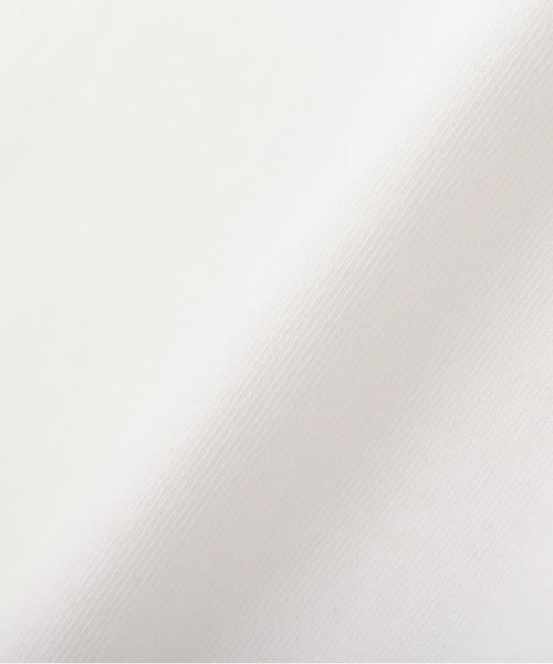 JILL by JILL STUART(ジル バイ ジル スチュアート)/オーガニック刺繍ロゴTシャツ　WEB限定カラー:アカロゴ/img36