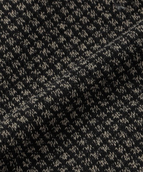 SHIPS: TEXBRID(R) ジャカード 2ボタン ジャケット 