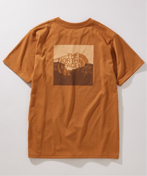 JOURNAL STANDARD(ジャーナルスタンダード)/THE NORTH FACE / S/S Square Mountain Logo NT32377/img28