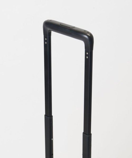 【別注】 ＜ace.＞ テオフィールド 32L/キャリーケース ＜ace TeoField 32L