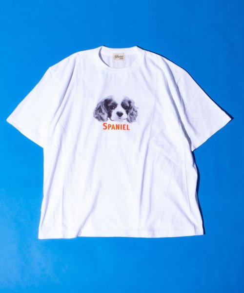 GLOSTER(GLOSTER)/【新柄追加】【GLOSTER/グロスター】DOG&CAT 犬猫プリントTシャツ/img07