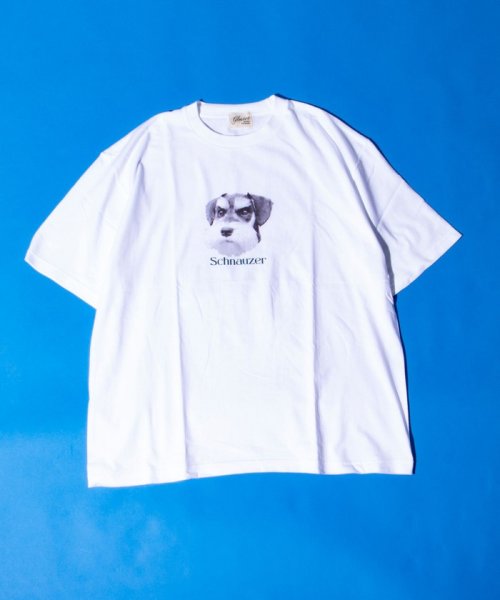GLOSTER(GLOSTER)/【新柄追加】【GLOSTER/グロスター】DOG&CAT 犬猫プリントTシャツ/img08